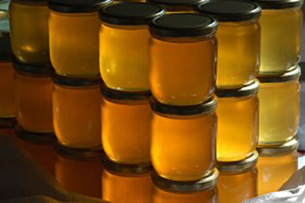 真蜂蜜大概多少钱一斤？