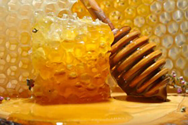 土蜂蜜的味道为什么是苦的