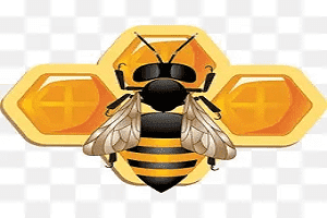 蜂蜜按照来源怎么划分