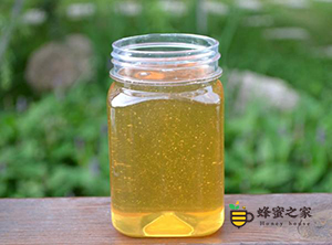 生姜蜂蜜水有助于减肥吗?