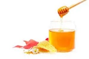 蜂蜜根据蜜源分类都有什么