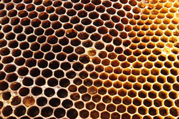 2020蜂蜜市场价格是多少？