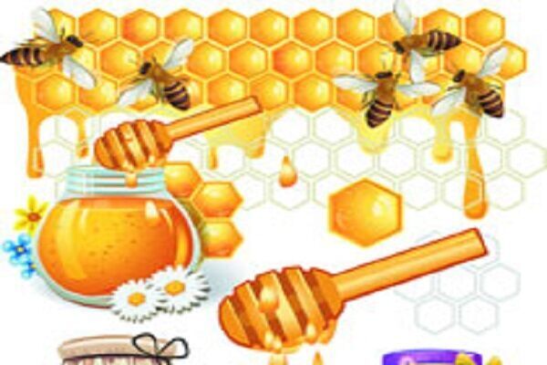 蜂蜜的表层出现白色泡沫是什么东西